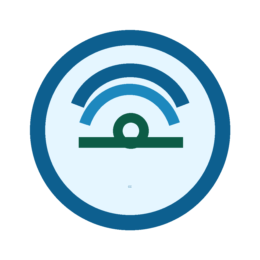 Cape Coral Pool Leak Detection logo